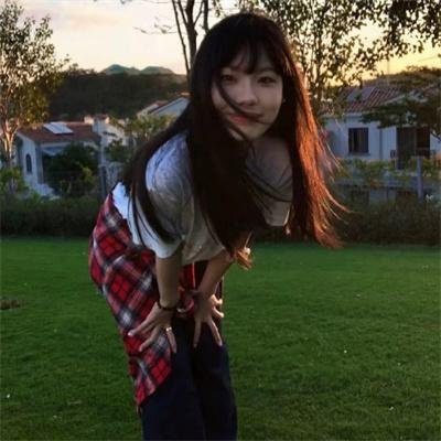 柴犬公园 在线观看